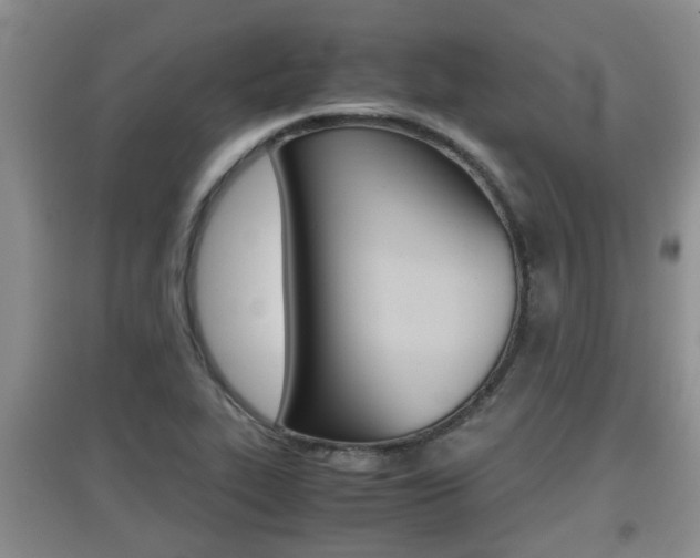 X0000097901319200803140958