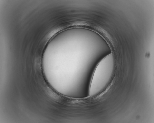 X0000097901321200803140958