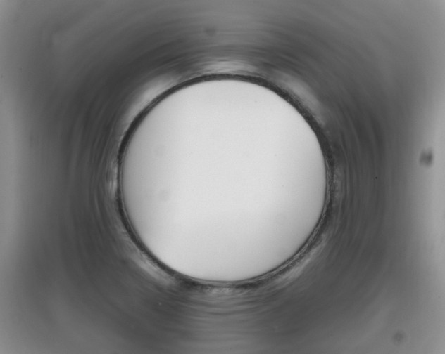 X0000097901322200803140958