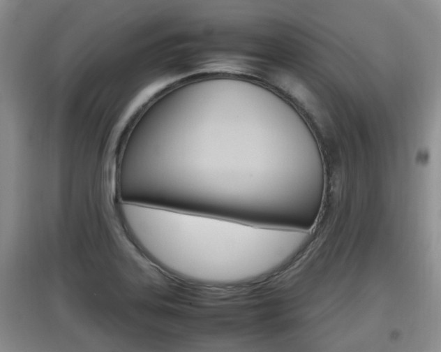 X0000097901323200803140958