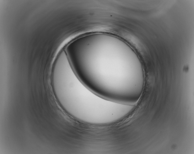 X0000097901324200803140958