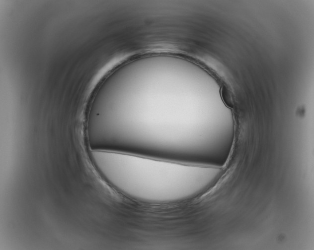 X0000097901325200803140958