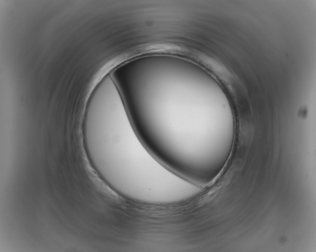 X0000097901330200803140958