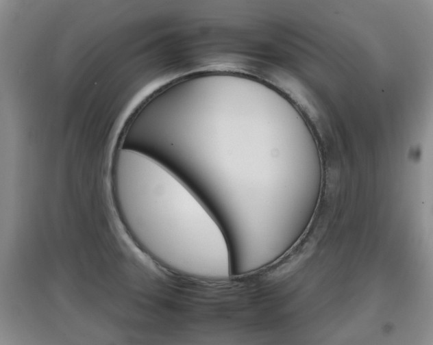X0000097901331200803140958