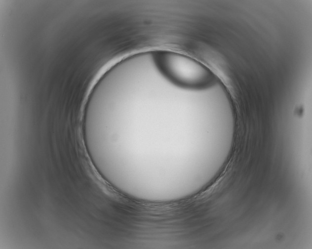 X0000097901332200803140958