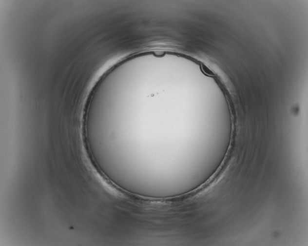 X0000097901333200803140958