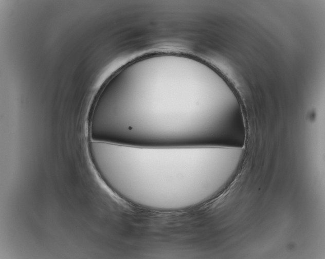 X0000097901335200803140958