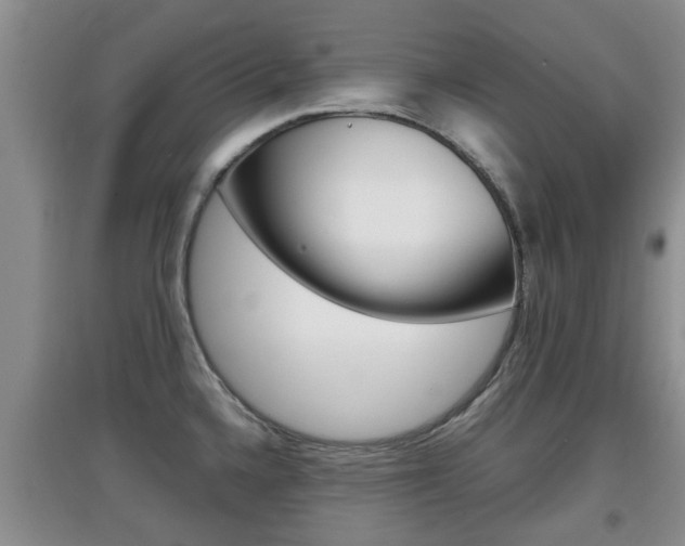 X0000097901336200803140958