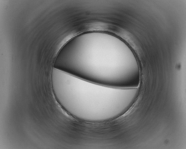 X0000097901337200803140958