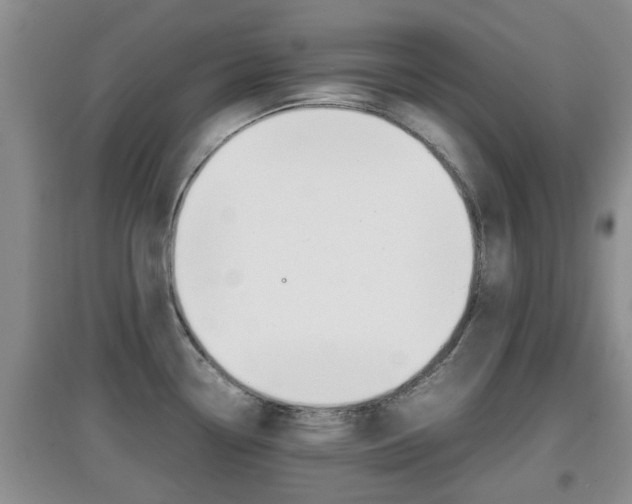 X0000097901338200803140958