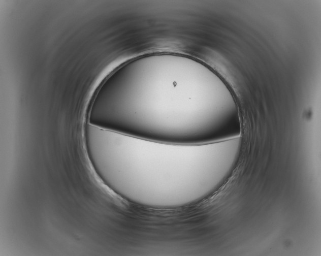X0000097901339200803140958