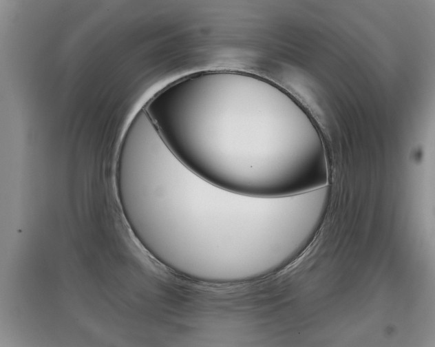 X0000097901340200803140958