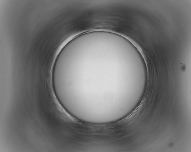 X0000097901341200803140958