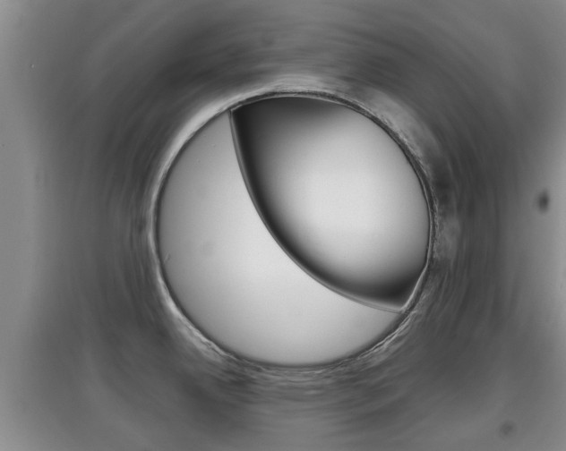 X0000097901342200803140958