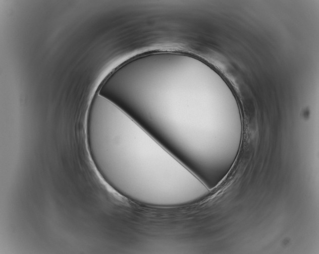 X0000097901343200803140958