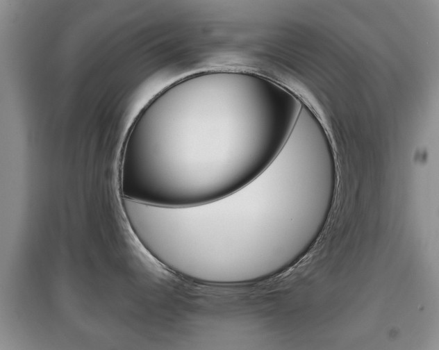 X0000097901344200803140958