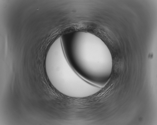 X0000097901345200803140957