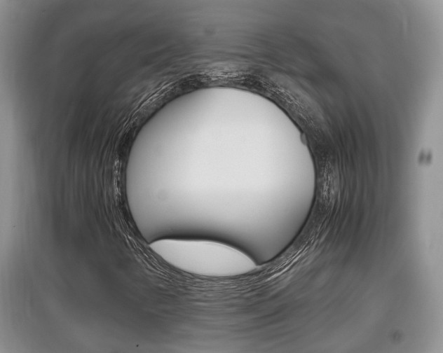 X0000097901346200803140957