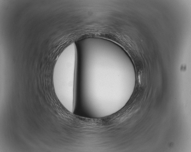 X0000097901347200803140957