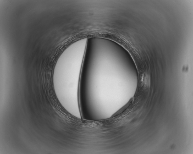 X0000097901348200803140957
