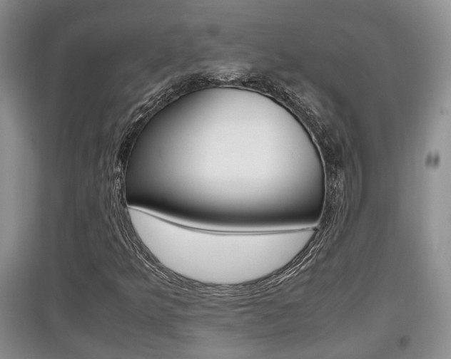 X0000097901349200803140957