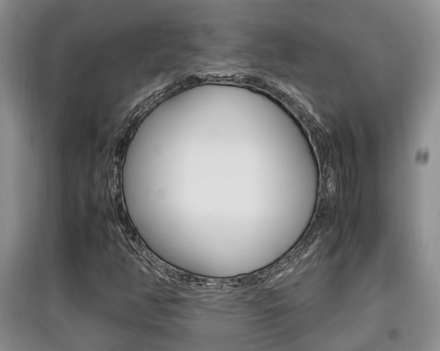 X0000097901350200803140957