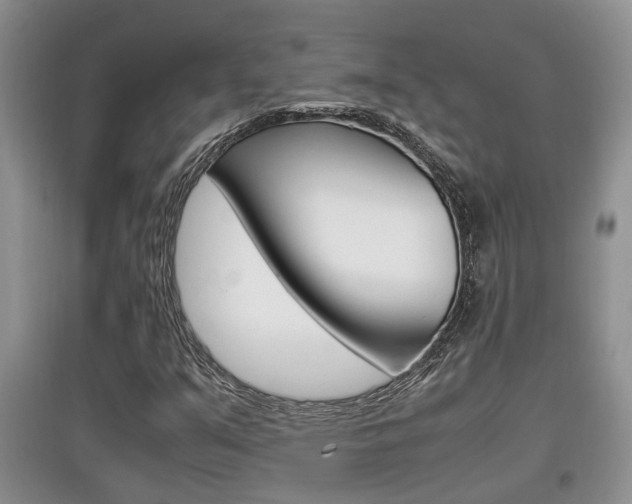 X0000097901351200803140957