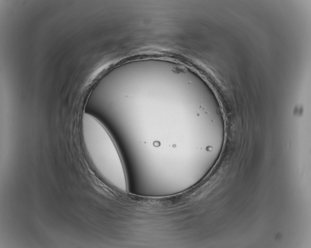 X0000097901355200803140957