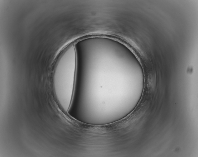 X0000097901356200803140957