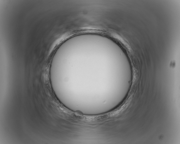 X0000097901357200803140957