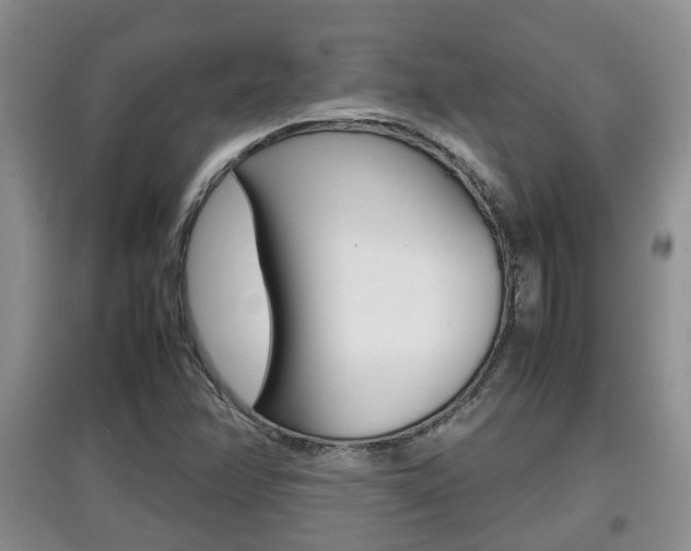 X0000097901358200803140957