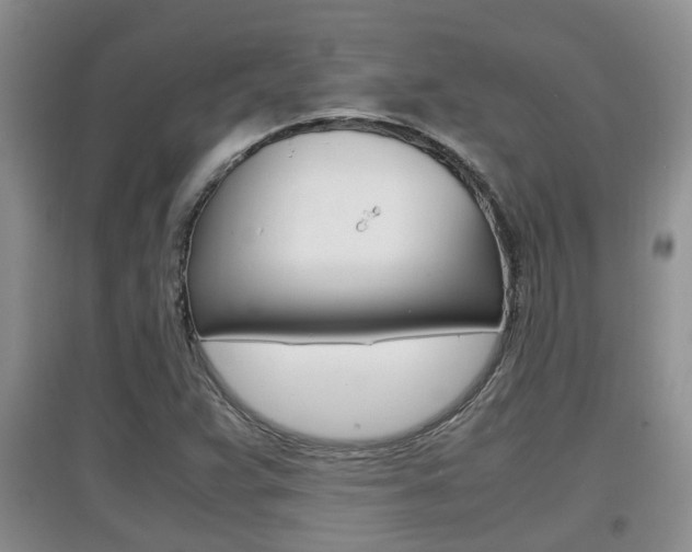 X0000097901359200803140957