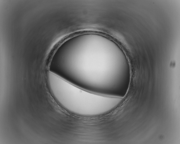 X0000097901360200803140957