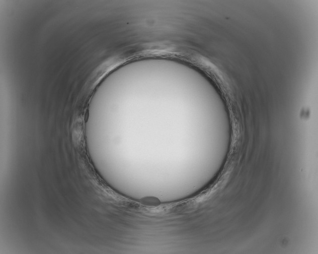 X0000097901361200803140957