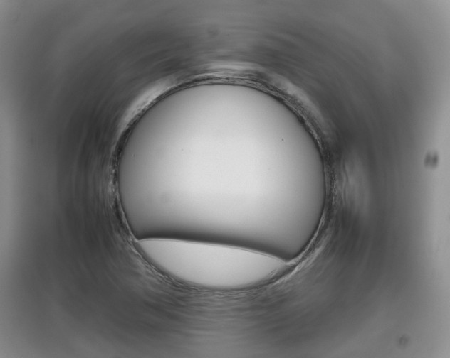 X0000097901362200803140957
