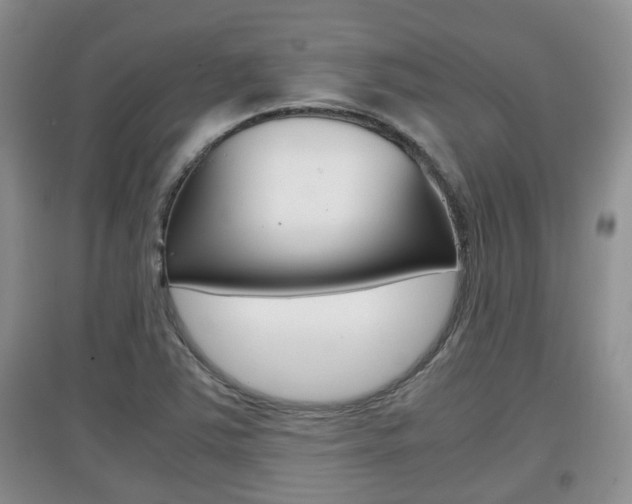 X0000097901363200803140957