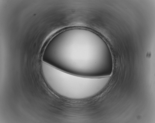 X0000097901364200803140957