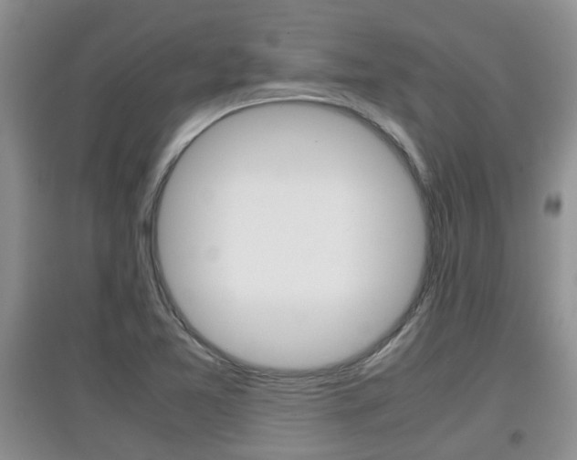 X0000097901365200803140957