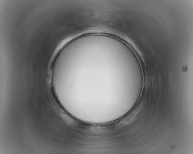 X0000097901366200803140957