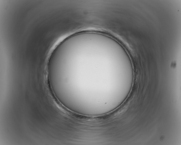 X0000097901367200803140957