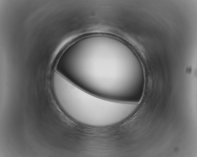 X0000097901368200803140957