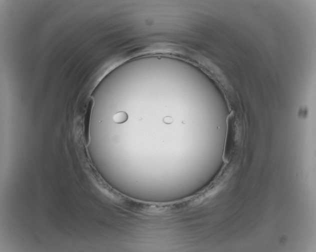 X0000097901369200803140957