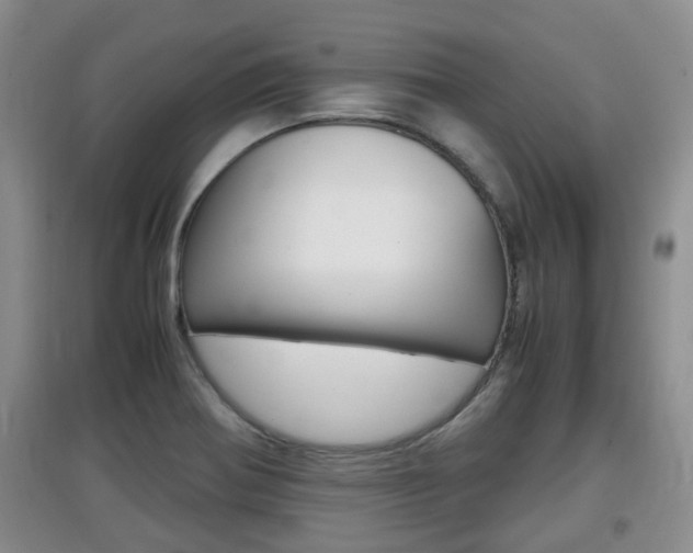X0000097901370200803140957