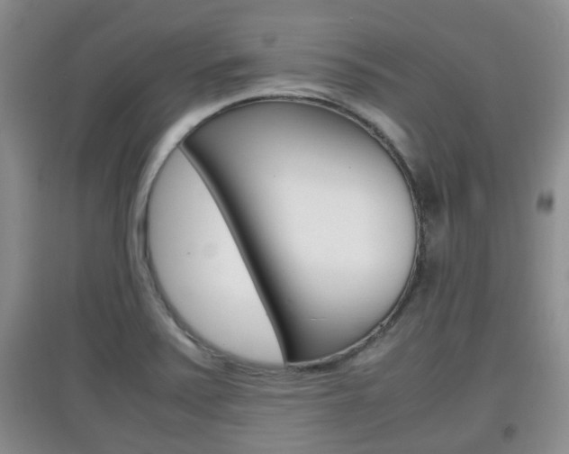 X0000097901371200803140957