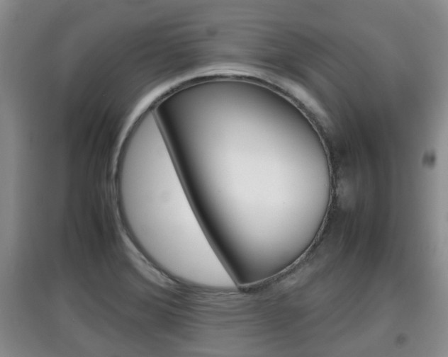 X0000097901372200803140957