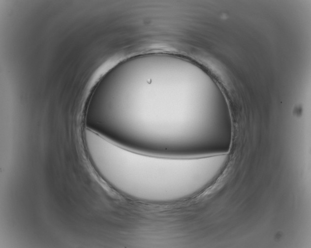 X0000097901373200803140957