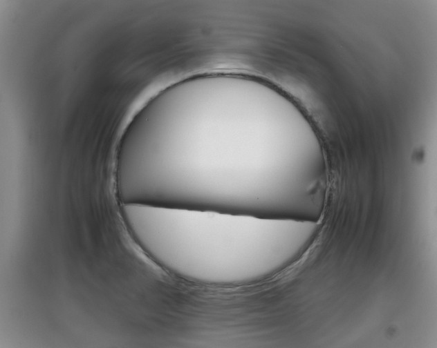 X0000097901374200803140957