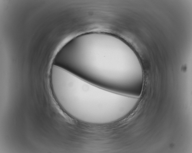 X0000097901375200803140957