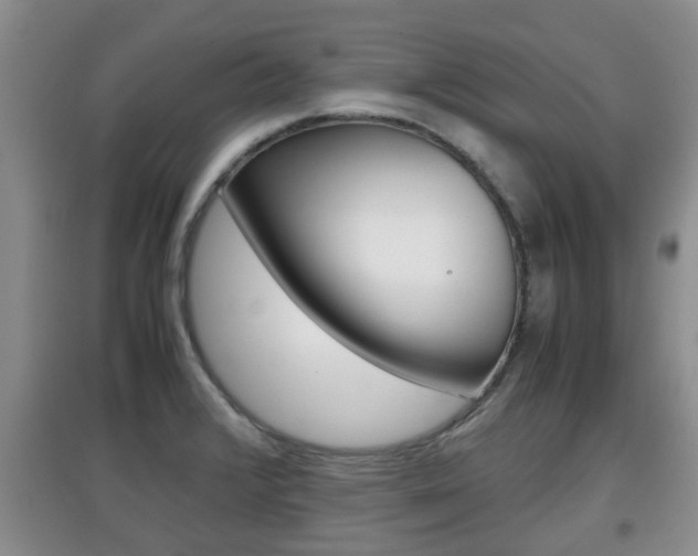 X0000097901376200803140957
