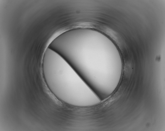 X0000097901378200803140957